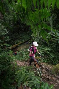 BIB: 035, 5035
                            <button type="button" onclick="openModal(16029275)" class="btn btn-primary btn-sm float-right btn-popup" data-toggle="modal" data-target=".modal-high-quality">
                        <i class="fas fa-shopping-cart"></i> Add to Cart
                    </button>
                                            <button type="button" onclick="isThisMe(16029275, true)" class="btn btn-success btn-sm float-right btn-popup btn-isme hidden" data-toggle="tooltip" data-placement="bottom" title="นี่คือรูปของคุณใช่ไหม คลิกที่นี่เพื่อเอาเข้าอัลบั้ม">
                        <i class="fas fa-plus"></i> Add to album
                    </button>
                    <button type="button" onclick="isThisMe(16029275, false)" class="btn btn-warning btn-sm float-right btn-popup btn-isnotme hidden">
                        <i class="fas fa-ban"></i> Remove from album
                    </button>